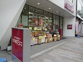 カスタリア神保町  ｜ 東京都千代田区神田神保町2丁目（賃貸マンション1K・9階・26.68㎡） その21