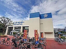 スーパー「綿半スーパーセンター権堂店まで689m」