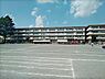 周辺：【中学校】白山中学校まで354ｍ
