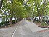 周辺：新船場西公園　約150ｍ　徒歩2分