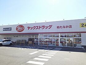 ラピスラズリ 201 ｜ 千葉県柏市船戸（賃貸マンション1R・2階・30.98㎡） その15