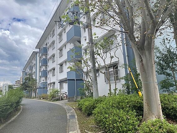 UR都市機構保津川団地3号棟_その他_3