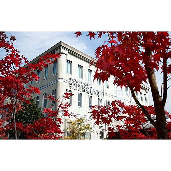 画像11:大学1「京都経済短期大学まで2100ｍ」