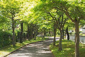 UR奈良青山一丁目  ｜ 奈良県奈良市青山1丁目（賃貸マンション4LDK・4階・87.88㎡） その3