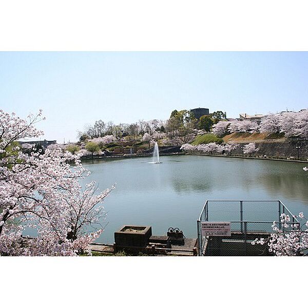 画像11:公園「中山田池公園まで900ｍ」