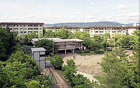 UR平城第二  ｜ 奈良県奈良市右京2丁目（賃貸マンション2LDK・4階・54.21㎡） その1