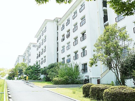 UR都市機構中登美団地D—31_トップ画像
