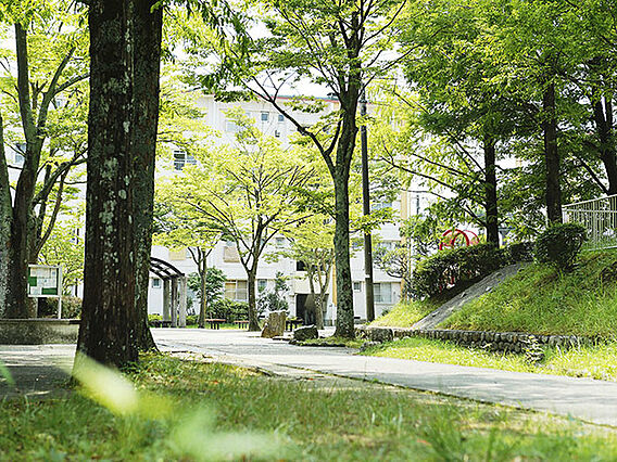 UR都市機構中登美団地F—6_その他_3