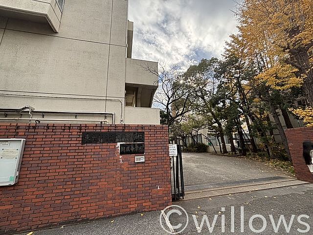 周辺 パークタワー錦糸町 12階/-