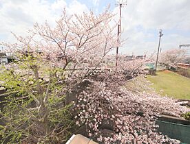 アミティ西大寺P-8  ｜ 奈良県奈良市西大寺竜王町2丁目（賃貸マンション1K・2階・18.36㎡） その14