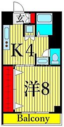 サザンクロス 2階1Kの間取り