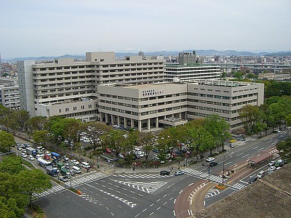 画像19:国立病院機構 名古屋医療センター（95m）