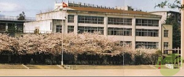 画像30:神戸市立垂水中学校 1429m