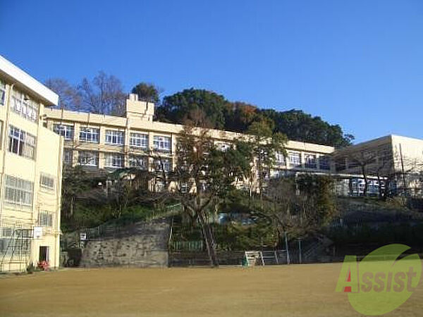 画像22:神戸市立妙法寺小学校 405m