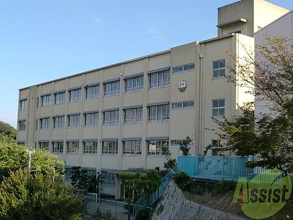周辺：神戸市立高倉中学校 2000m