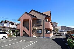 クリザンテーモ