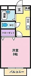 グランシャリオ 1Kの間取図画像