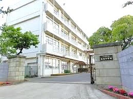 千葉市立高洲中学校（550m）