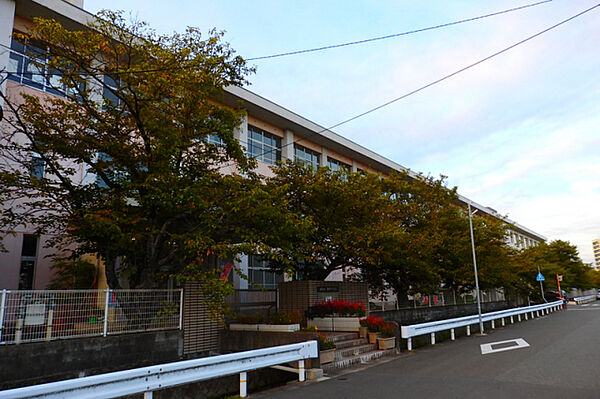 兵庫県姫路市網干区新在家(賃貸一戸建4SLDK・1階・67.66㎡)の写真 その28