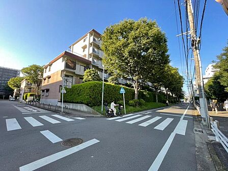 ゴミ置き場や電柱の位置なども現地でご確認いただけます。