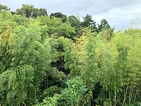 静岡県浜松市中央区舘山寺町（賃貸マンション1K・1階・25.92㎡） その18