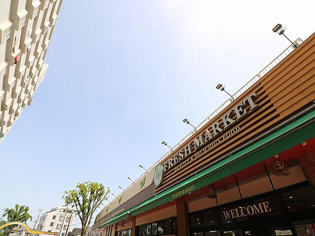 周辺 ネオコーポ亀有 5階/-