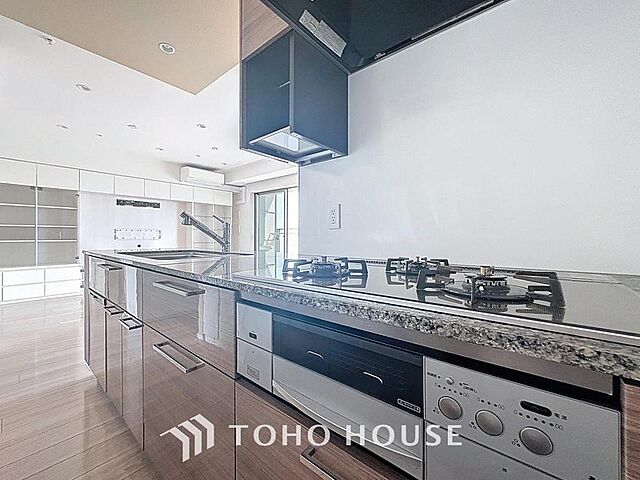 キッチン パークホームズ豊洲　ザレジデンス 21階/-