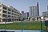 周辺：徒歩13分。江東区立越中島小学校 1040m