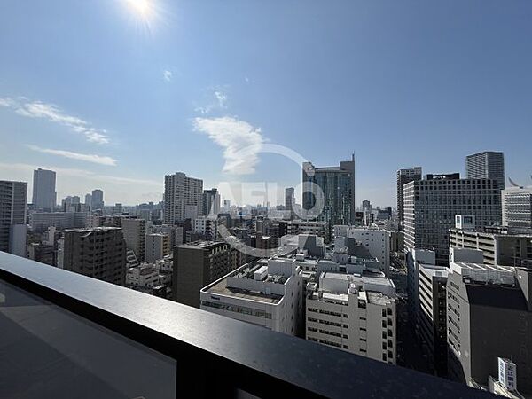 画像12:ザ・ファインタワー大阪肥後橋　眺望