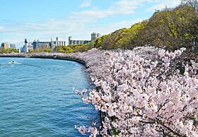 エル・セレーノ天満橋 901 ｜ 大阪府大阪市北区天満橋1丁目4-8（賃貸マンション1LDK・9階・34.74㎡） その28