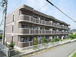🉐敷金礼金0円！🉐ラフィネタウン丸山東