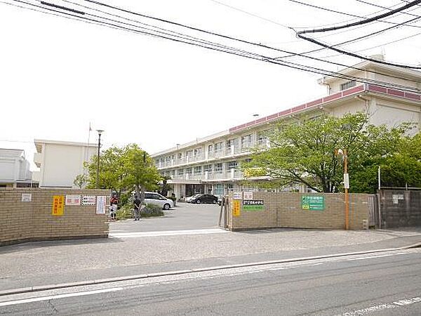 画像16:曽根中学校(1、100m)