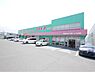 周辺：ディスカウントドラッグコスモス上曽根店(1、000m)