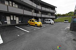9 / 19
