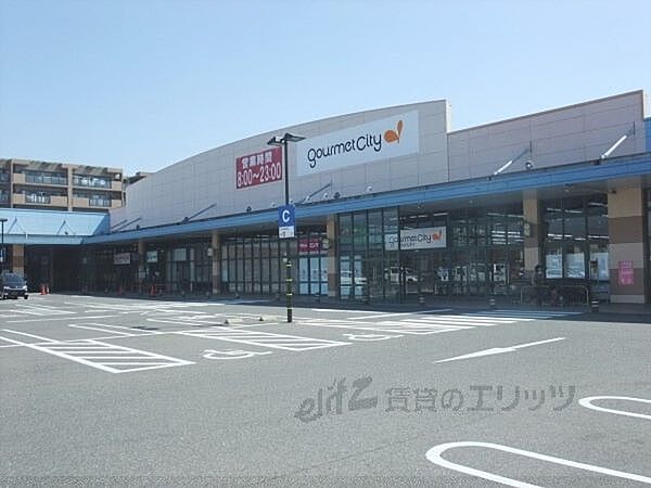 画像20:グルメシティ　水無瀬店 1100m