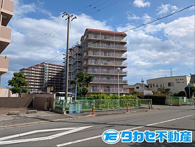 外観:外観 外観:外観