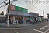 周辺：ウェルパーク練馬南大泉店 徒歩11分。 870m