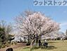 周辺：都立東村山中央公園 徒歩16分。 1280m