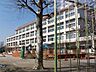 周辺：練馬区立泉新小学校 徒歩6分。 440m