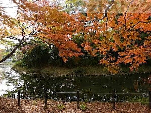 周辺を拡大表示