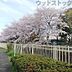 周辺：塚山公園 徒歩11分。 810m