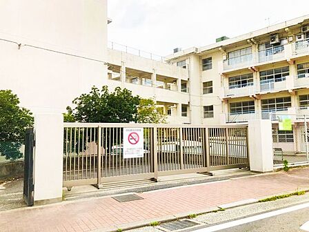 青山小学校 495m