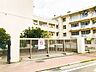 周辺：青山小学校 495m