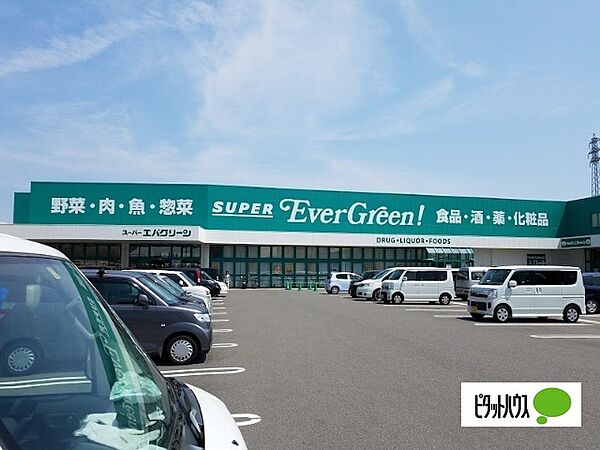 画像5:ドラッグストア 「スーパーエバグリーン福島店まで1070m」