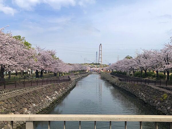 ルモンド大分2 201｜大分県大分市東浜１丁目(賃貸アパート2DK・2階・44.00㎡)の写真 その18