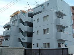 第13杉フラット