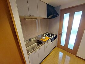 フェリス 402 号室 ｜ 愛媛県松山市松前町2丁目（賃貸マンション1K・4階・29.13㎡） その5