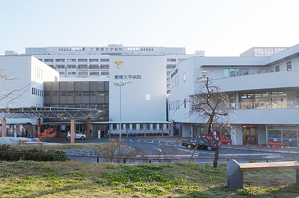 ＬＡＹＯＶＥＲ 202 号室｜愛媛県東温市南方(賃貸アパート1LDK・2階・42.04㎡)の写真 その7