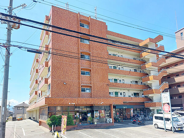 グレース辻町 202 号室｜愛媛県松山市辻町(賃貸マンション3DK・2階・55.35㎡)の写真 その1