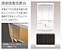 設備：シャワー付洗面化粧台